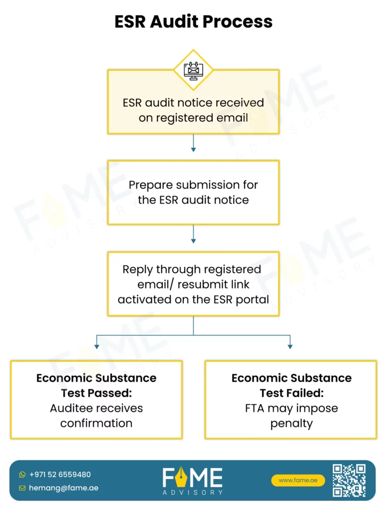 ESR Audit Process