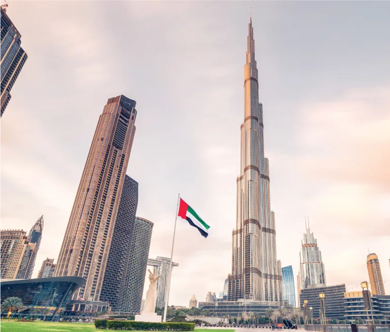 UAE Tax Residency Certificate Services ​